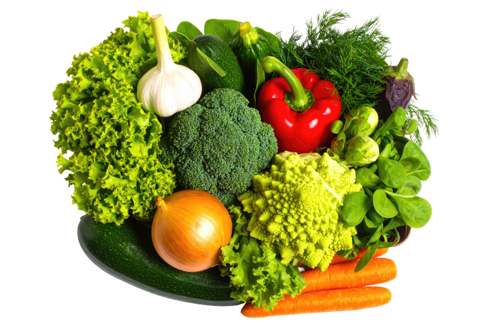 cropped-Untitled-design-32.png